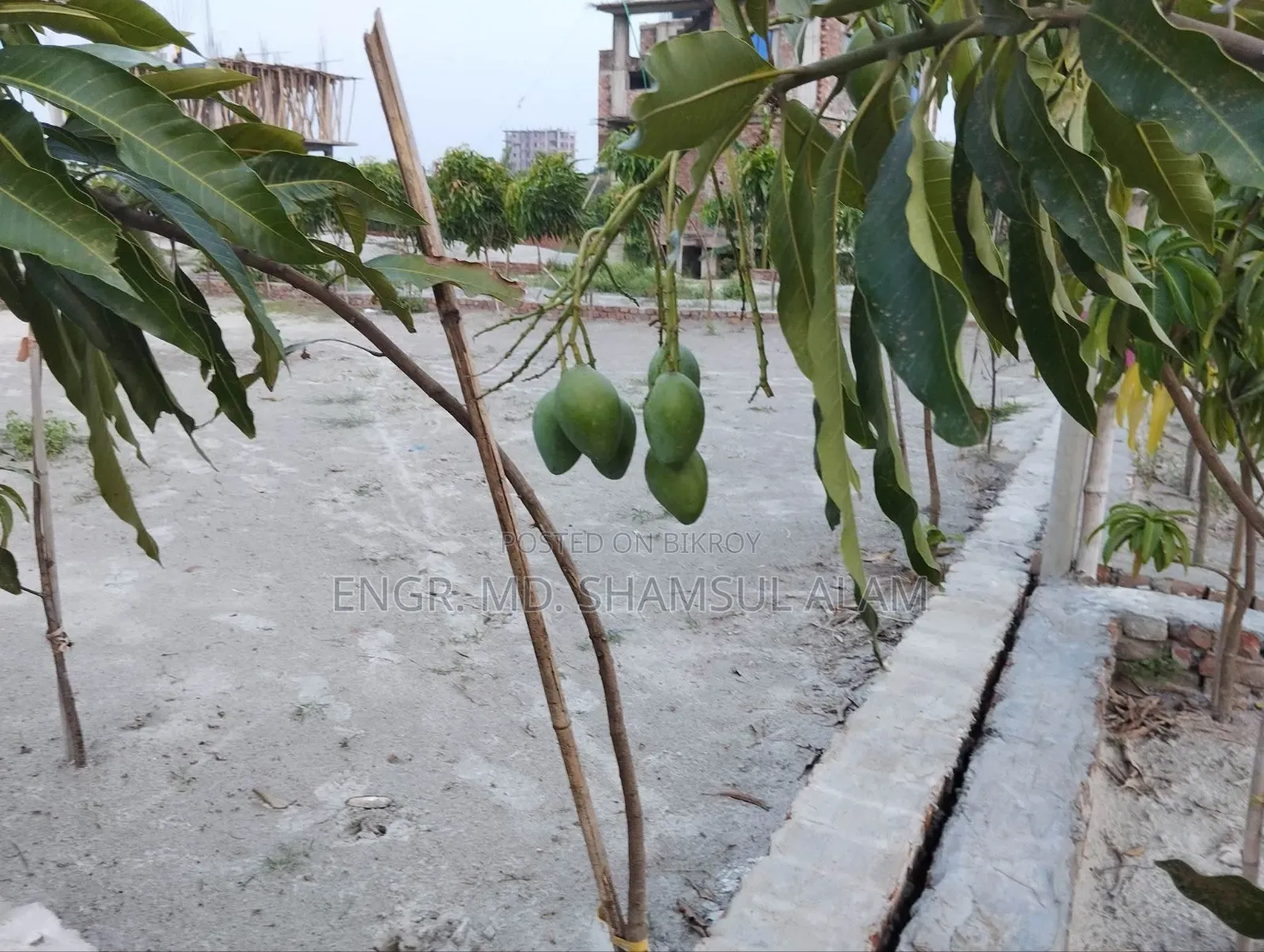 Plot for Sale in Paite Mouza at Demra Thana
