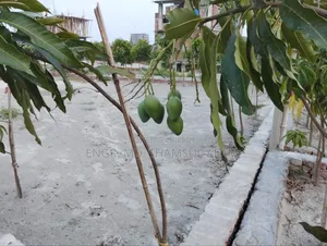 Plot for Sale in Paite Mouza at Demra Thana