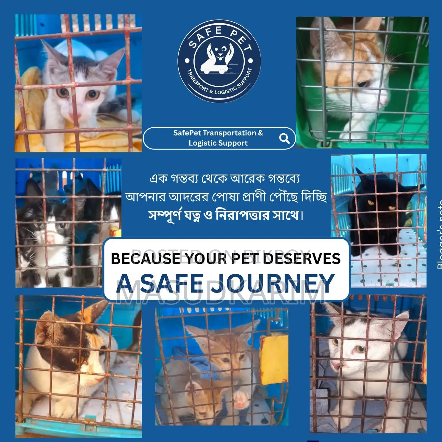১+ বছরের পুরুষ মিশ্র জাতের পার্সিয়ান