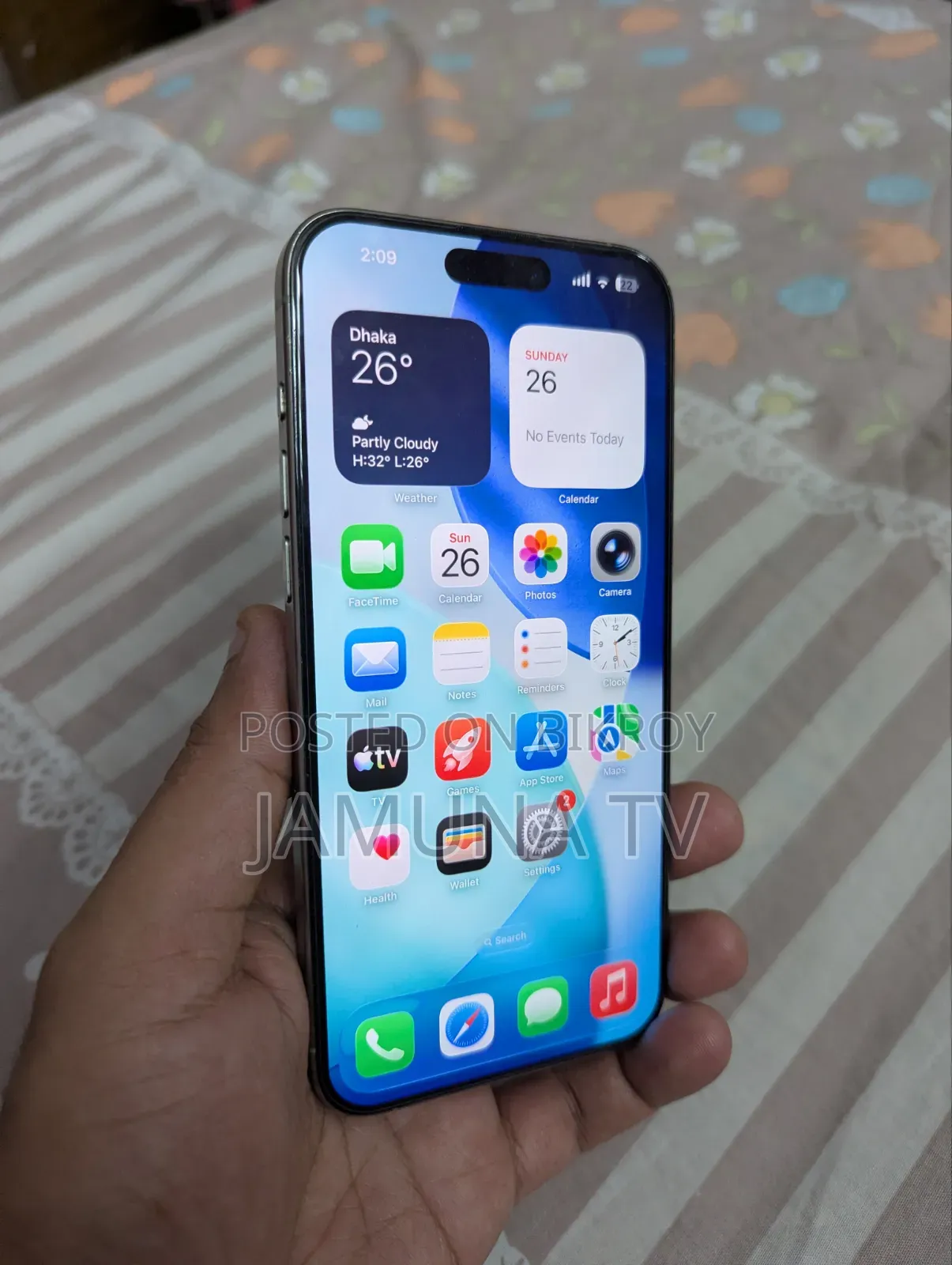 Apple iPhone 15 Pro Max 256 GB Gray