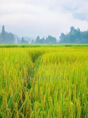 জমি বিক্রয় করা হইবে