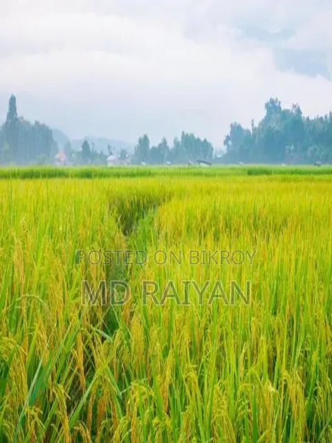 জমি বিক্রয় করা হইবে