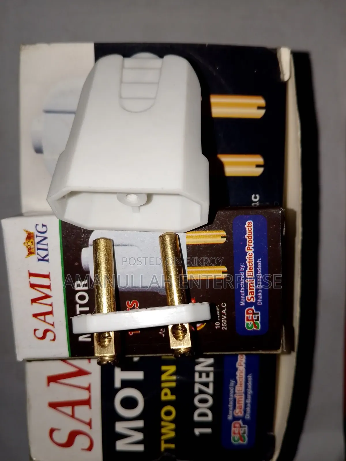 Heavy Duty Two-Pin Plug for Motors |