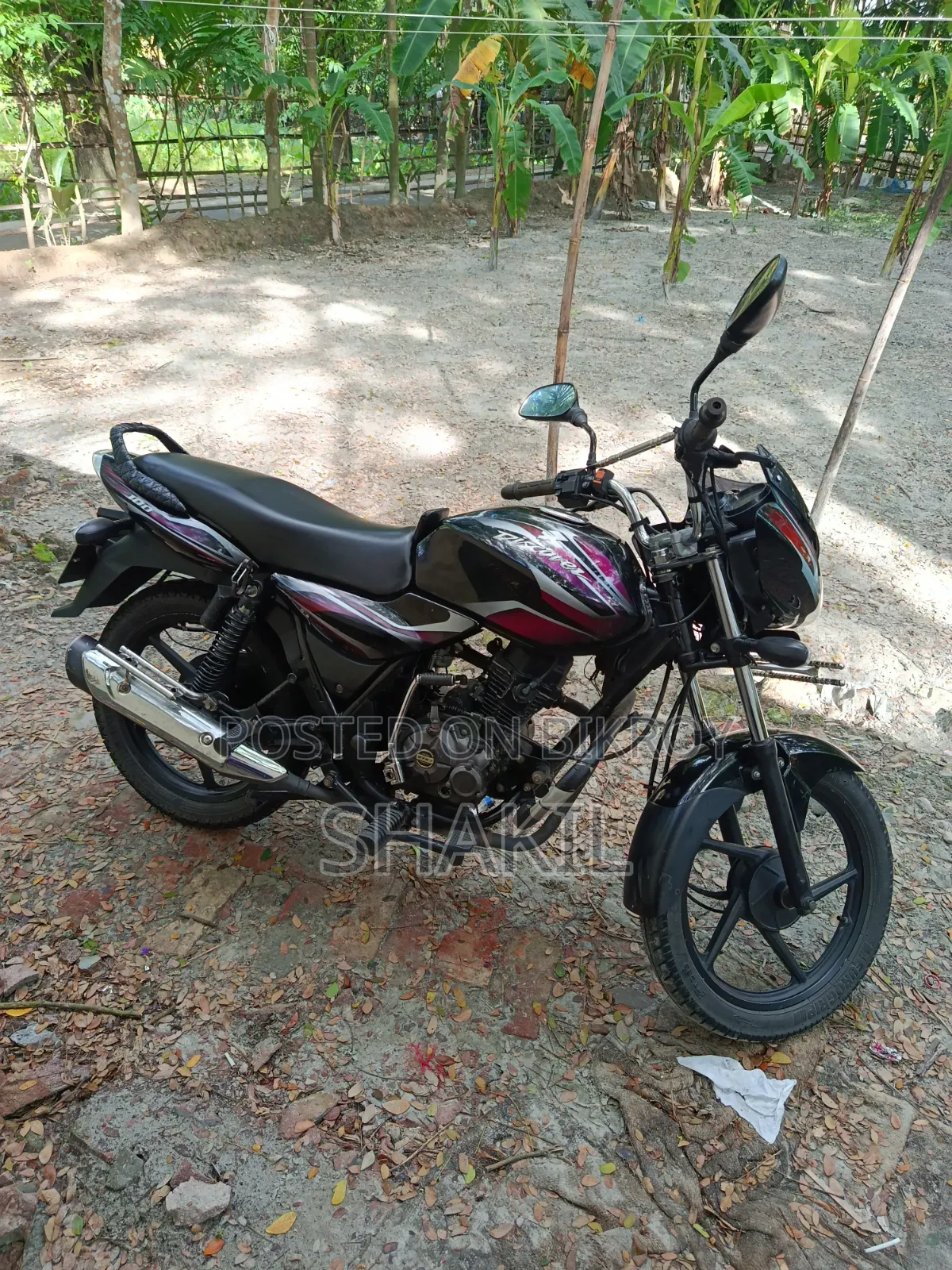 নতুন বাজাজ ডিসকভার ১০০ ২০১৭