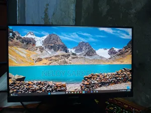 Computer Monitor