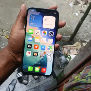 অ্যাপল আইফোন ১২ প্রো ম্যাক্স ১২৮ জিবি নীল