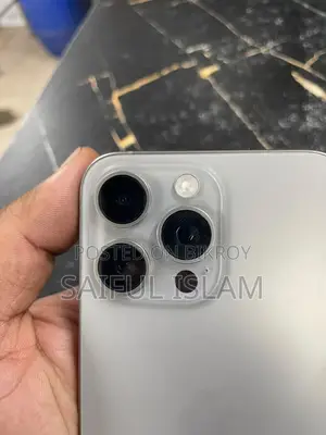 Apple iPhone 15 Pro Max 256 GB Gray