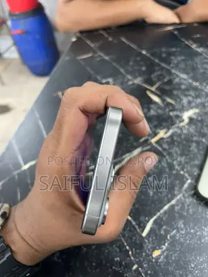 Apple iPhone 15 Pro Max 256 GB Gray