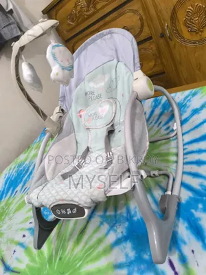 Baby Bouncer