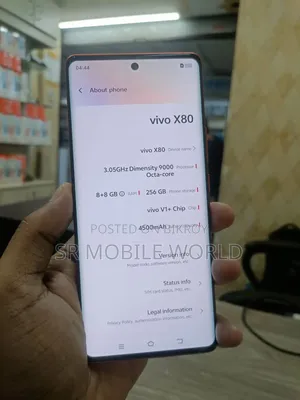ভিভো এক্স৮০ ২৫৬ জিবি কমলা