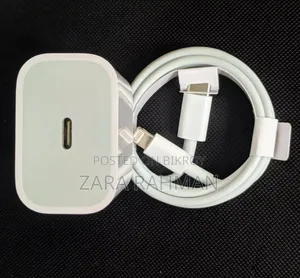 20w Apple iPhone Original Charger