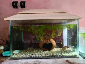অ্যাকুরিয়াম সেল হবে