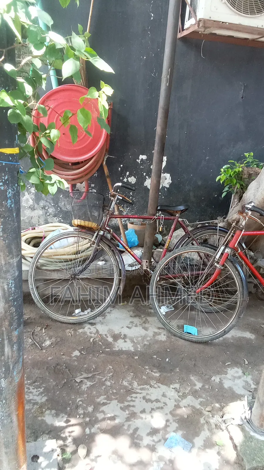 Bicycle Qwu
