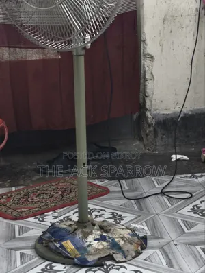 Pak Fan - Used (3.7 Years Used)