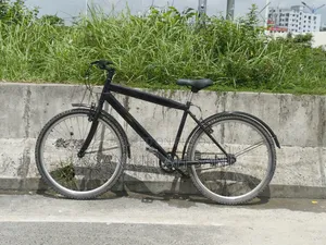 সাইকেলটি বিক্রি করা হবে