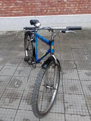 Bicycle for Sale