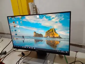 Dell Monitor
