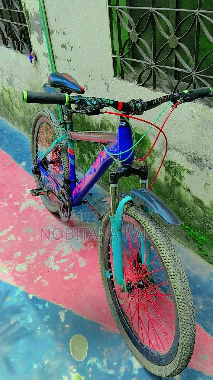 Gear Bicycle