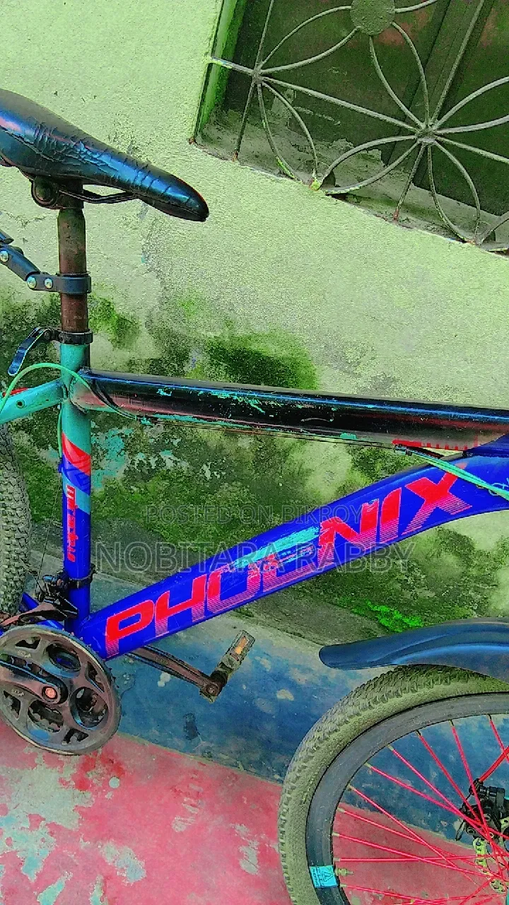 Gear Bicycle