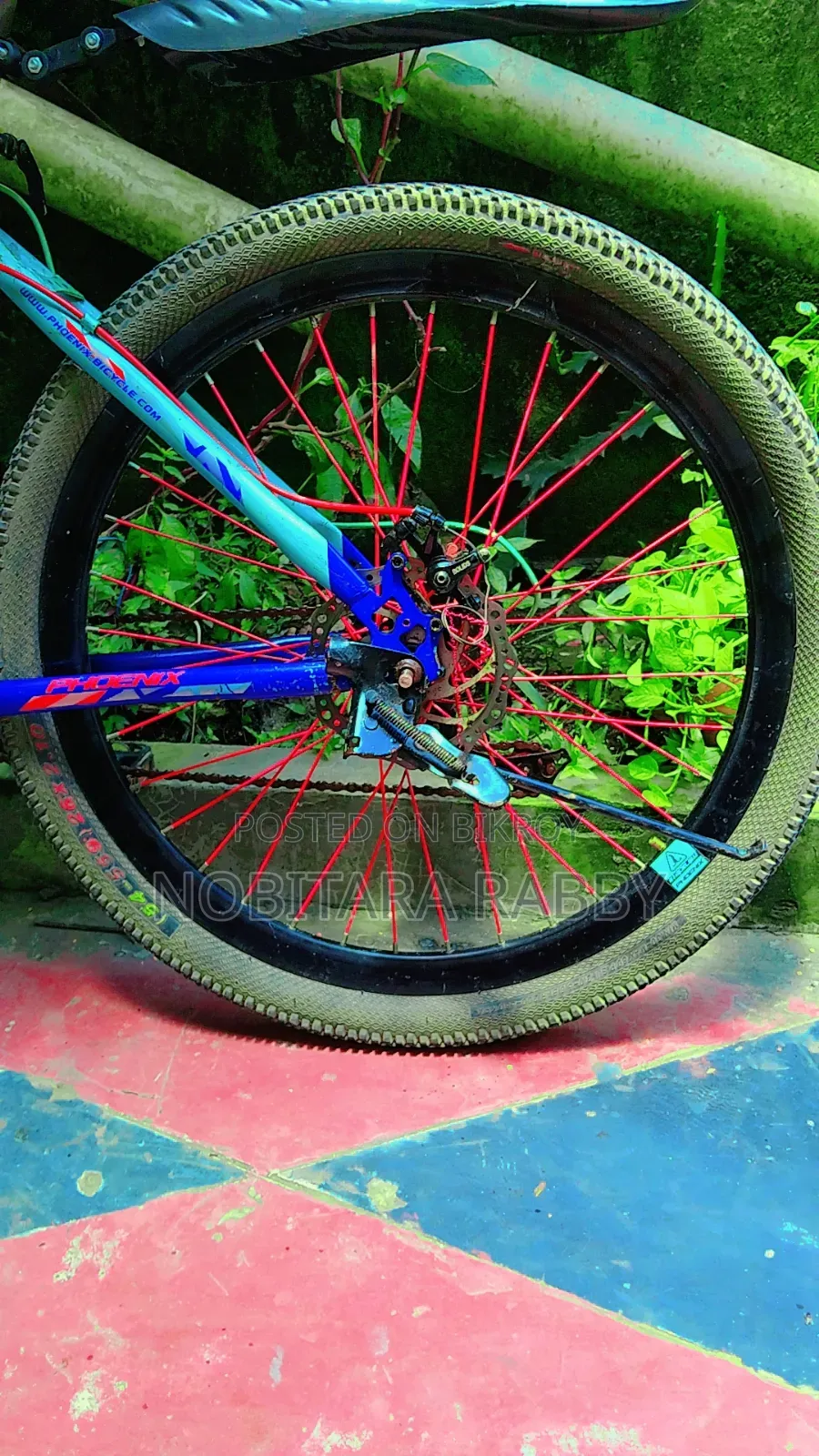Gear Bicycle
