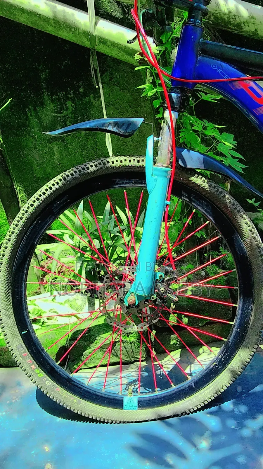 Gear Bicycle