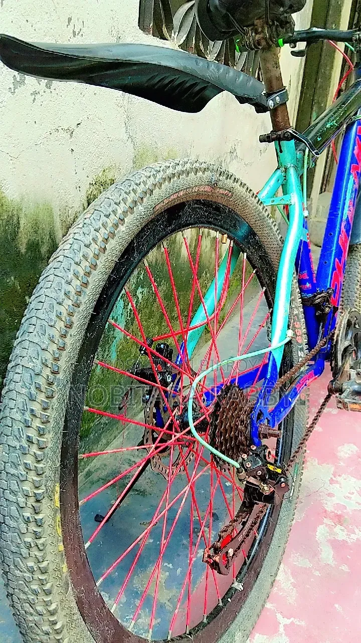 Gear Bicycle