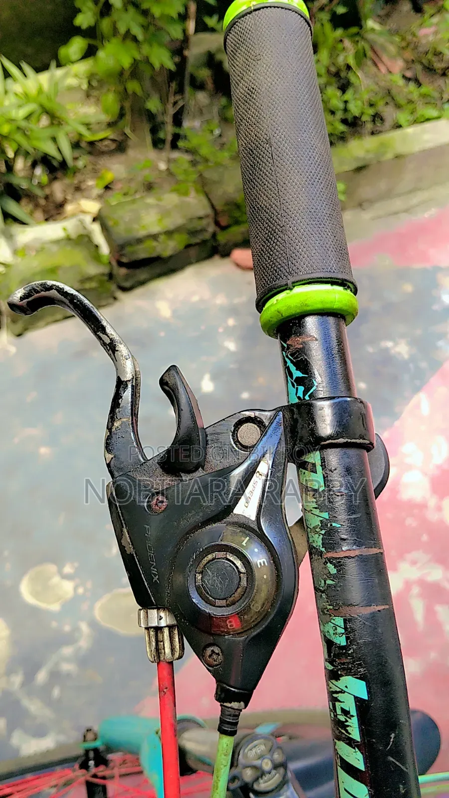 Gear Bicycle
