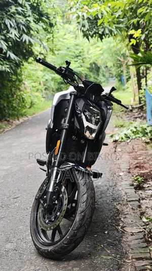 সিএফমোটো ২৫০এনকে ২০২৫