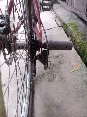 Stan Cycle