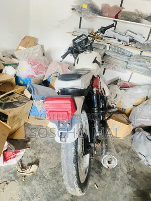 হিরো ডন ১০০ ২০১৬ হোয়াইট