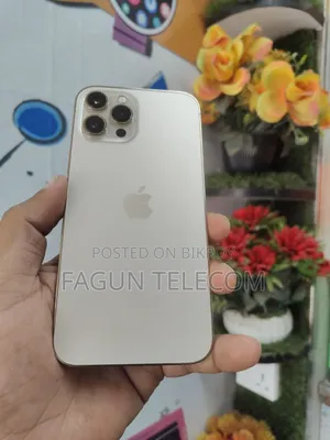 Apple iPhone 12 Pro Max 256 GB Gold