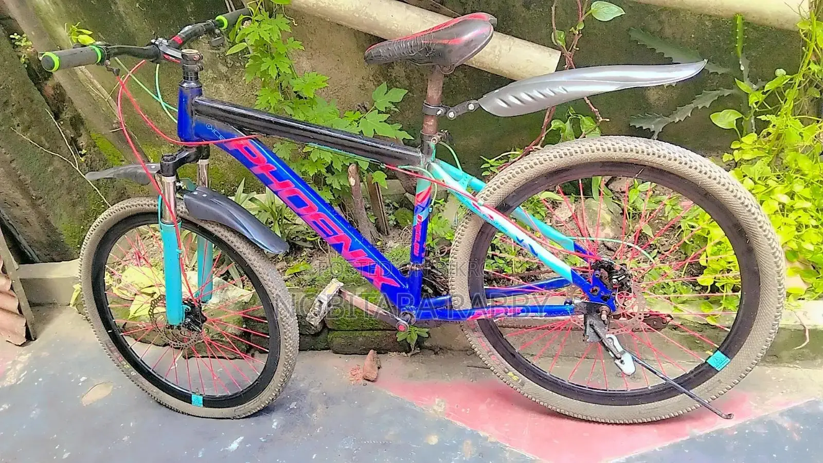 Gear Bicycle