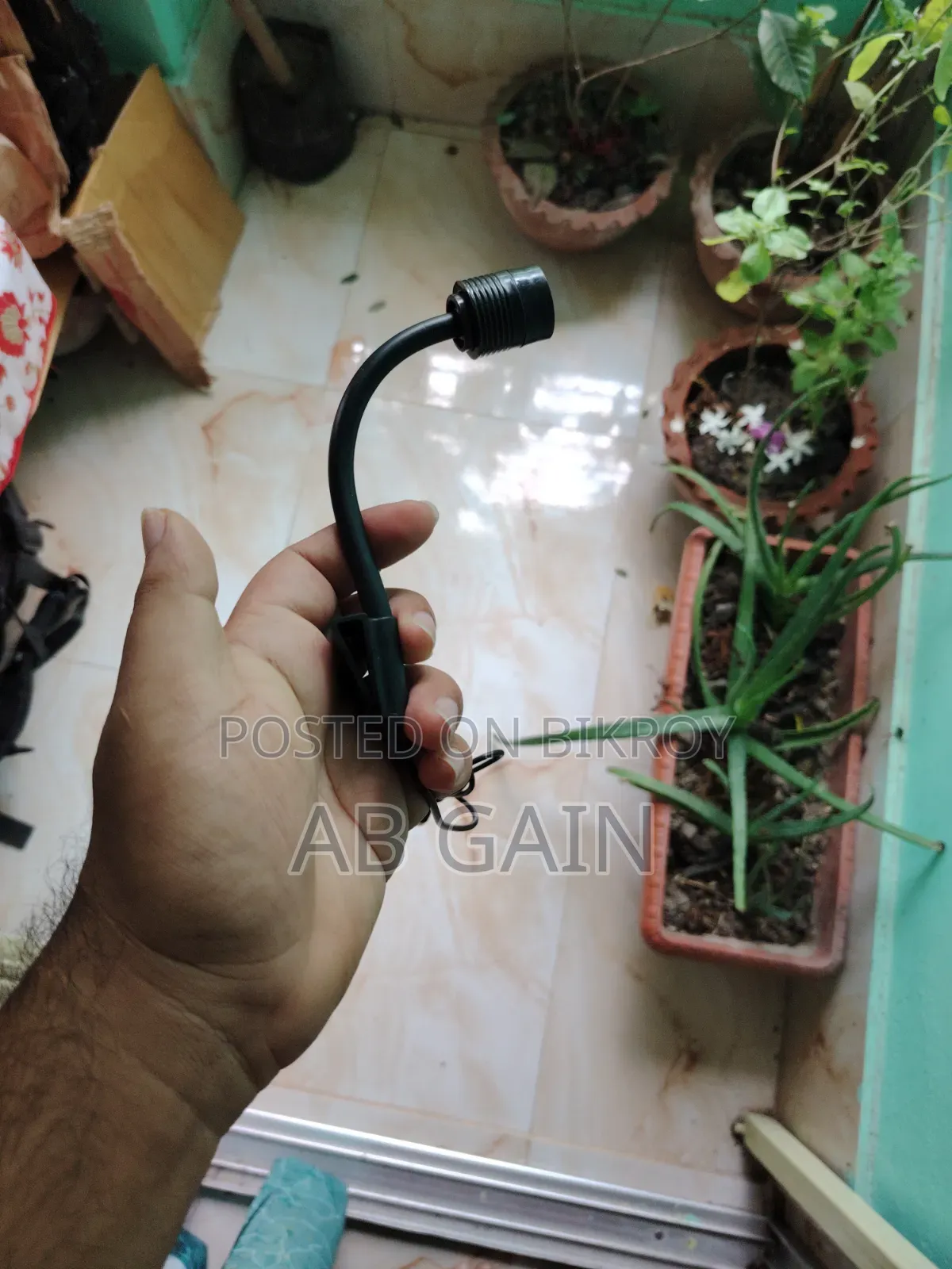Accuriam Light New