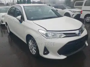 Toyota Axio 2021 Pearl