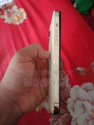 অ্যাপল আইফোন ১২ প্রো ম্যাক্স ২৫৬ জিবি রোজ গোল্ড