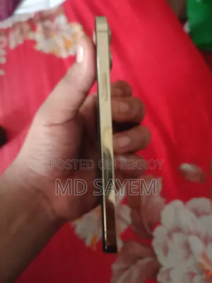 অ্যাপল আইফোন ১২ প্রো ম্যাক্স ২৫৬ জিবি রোজ গোল্ড