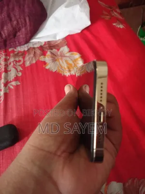 অ্যাপল আইফোন ১২ প্রো ম্যাক্স ২৫৬ জিবি রোজ গোল্ড