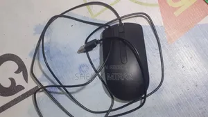 MS116 Dell Mouse