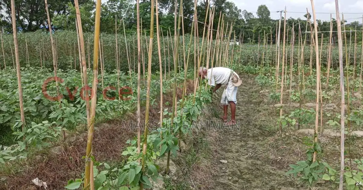 Land for sale in Sitakunda, Chattogram