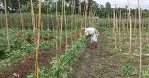 Land for sale in Sitakunda, Chattogram