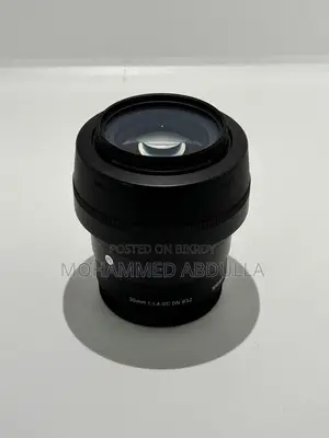 সিগমা ৩০মিমি এফ/১.৪ ডিসি ডিএন কন্টেম্পরারি (সনি ই)