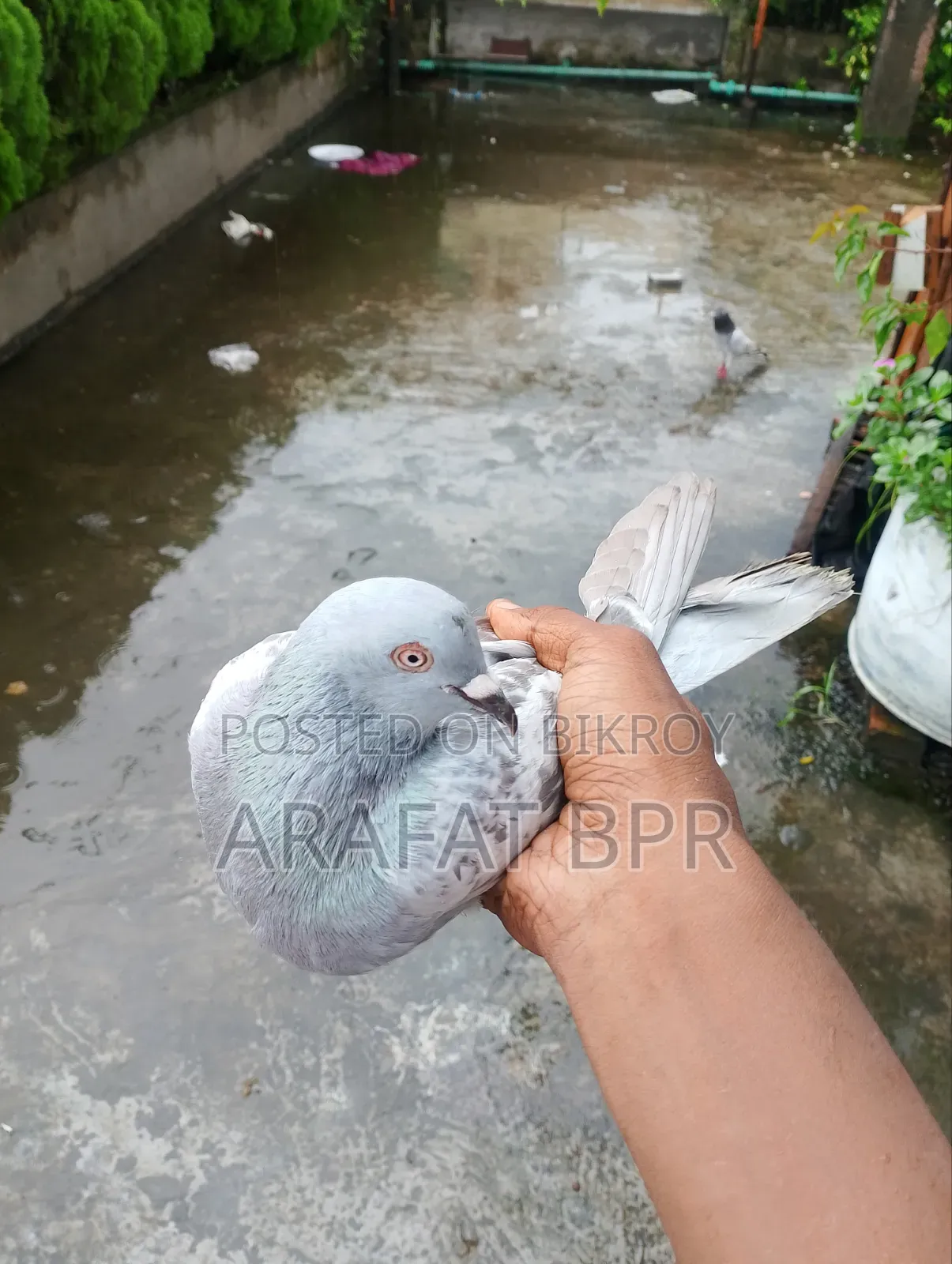 Khaki Nor Hat Bodol Kora Hobe