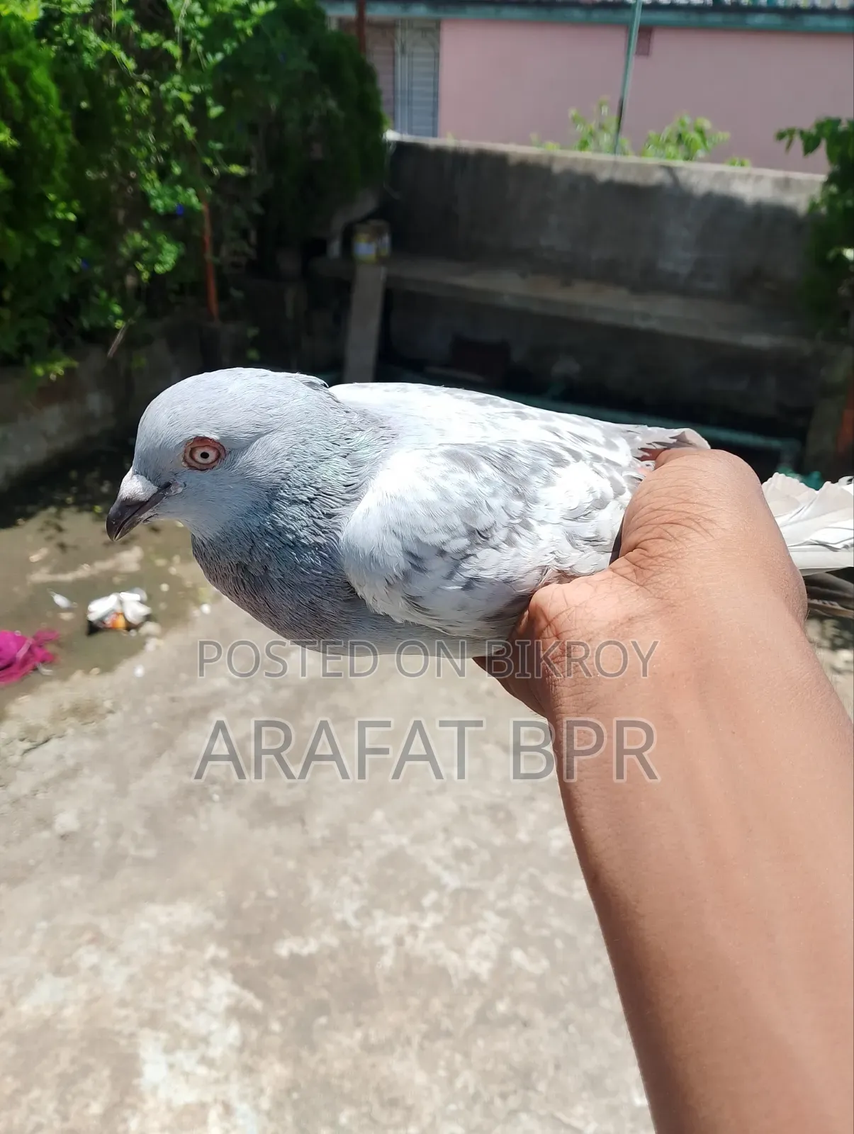 Khaki Nor Hat Bodol Kora Hobe