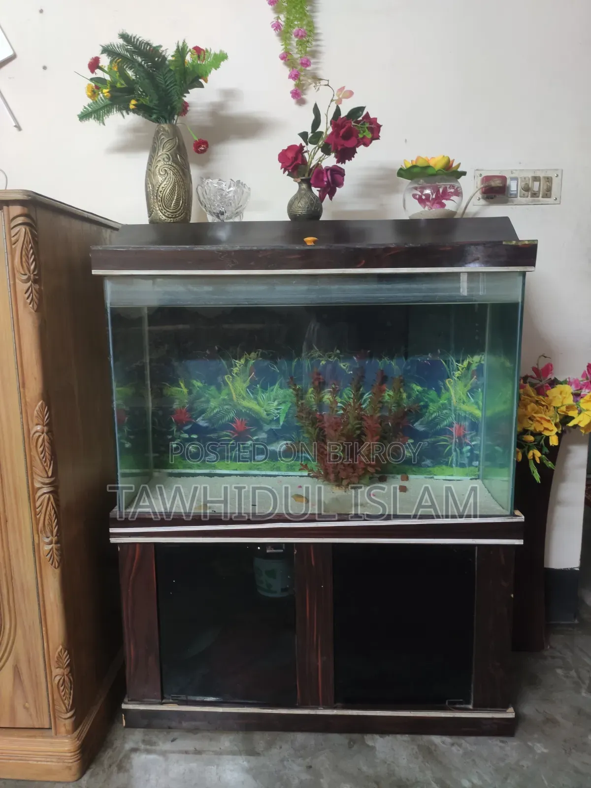 200 Liter/50 Gallon Aquarium Set-Up