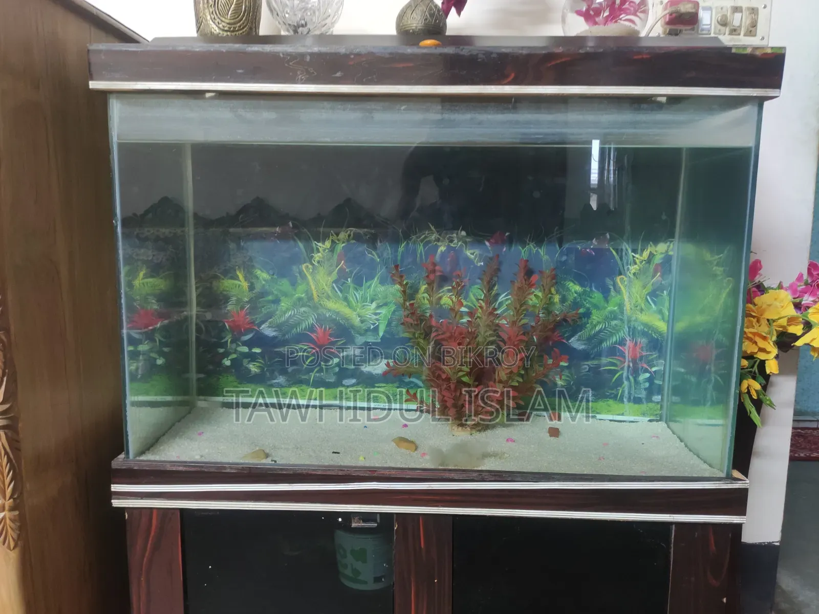 200 Liter/50 Gallon Aquarium Set-Up