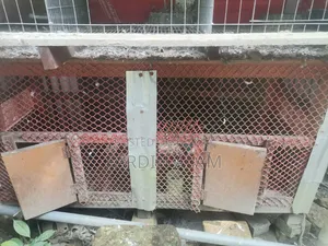 A strong chicken coop