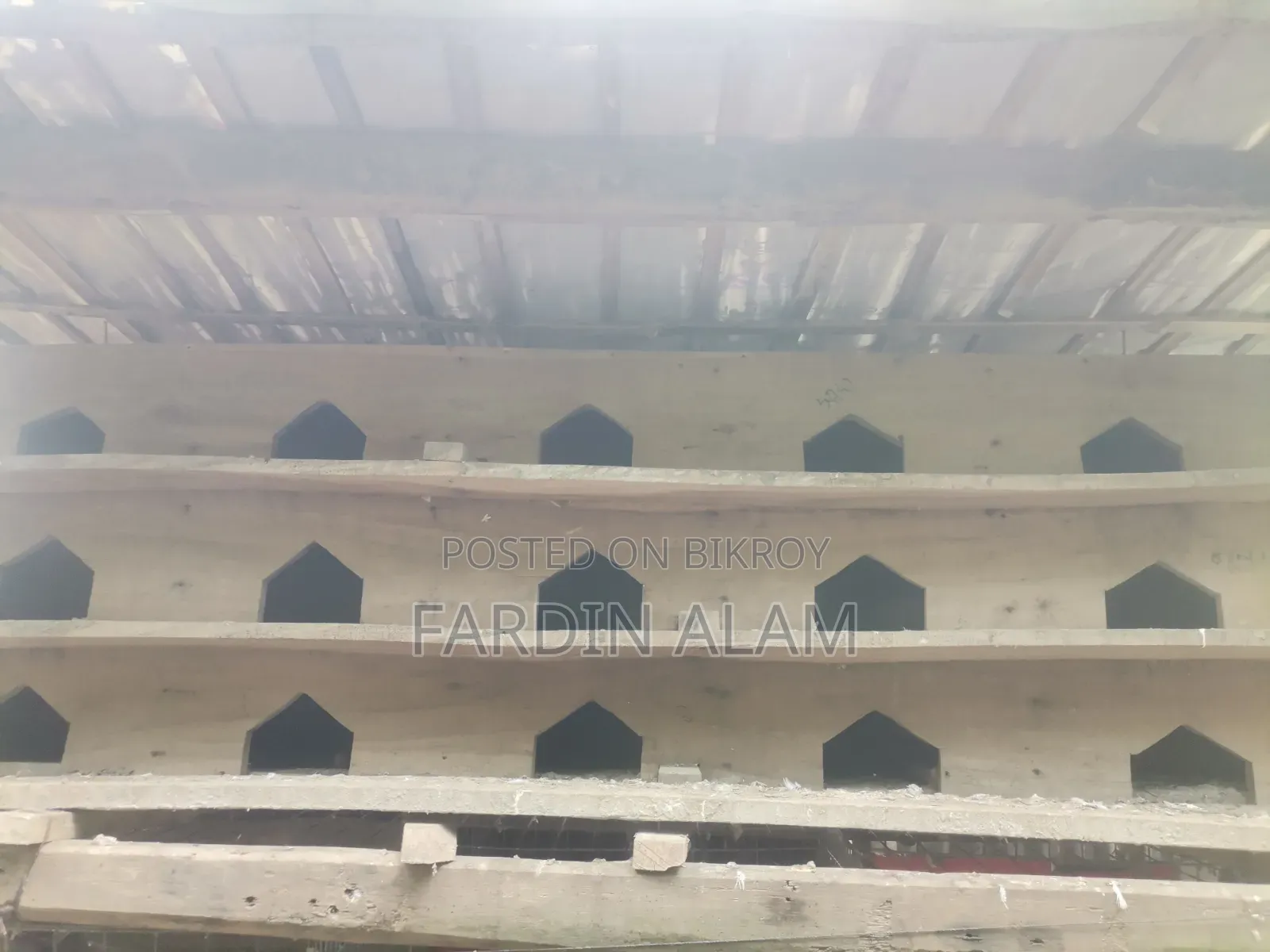Very Strong Pigeon Coop