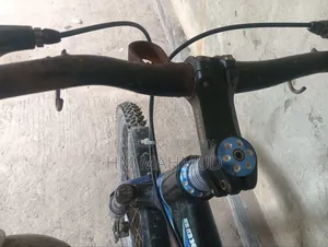 টাকার প্রয়োজন তাই বিক্রি করে দিব।