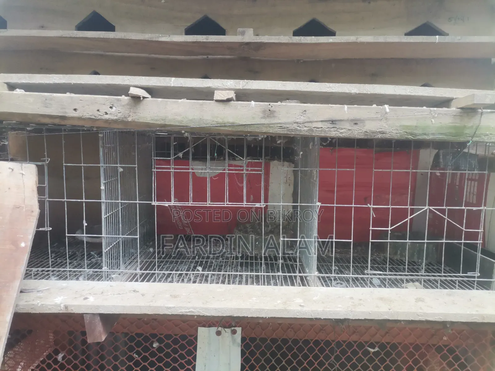 Original Thick G.I. Wire Cage