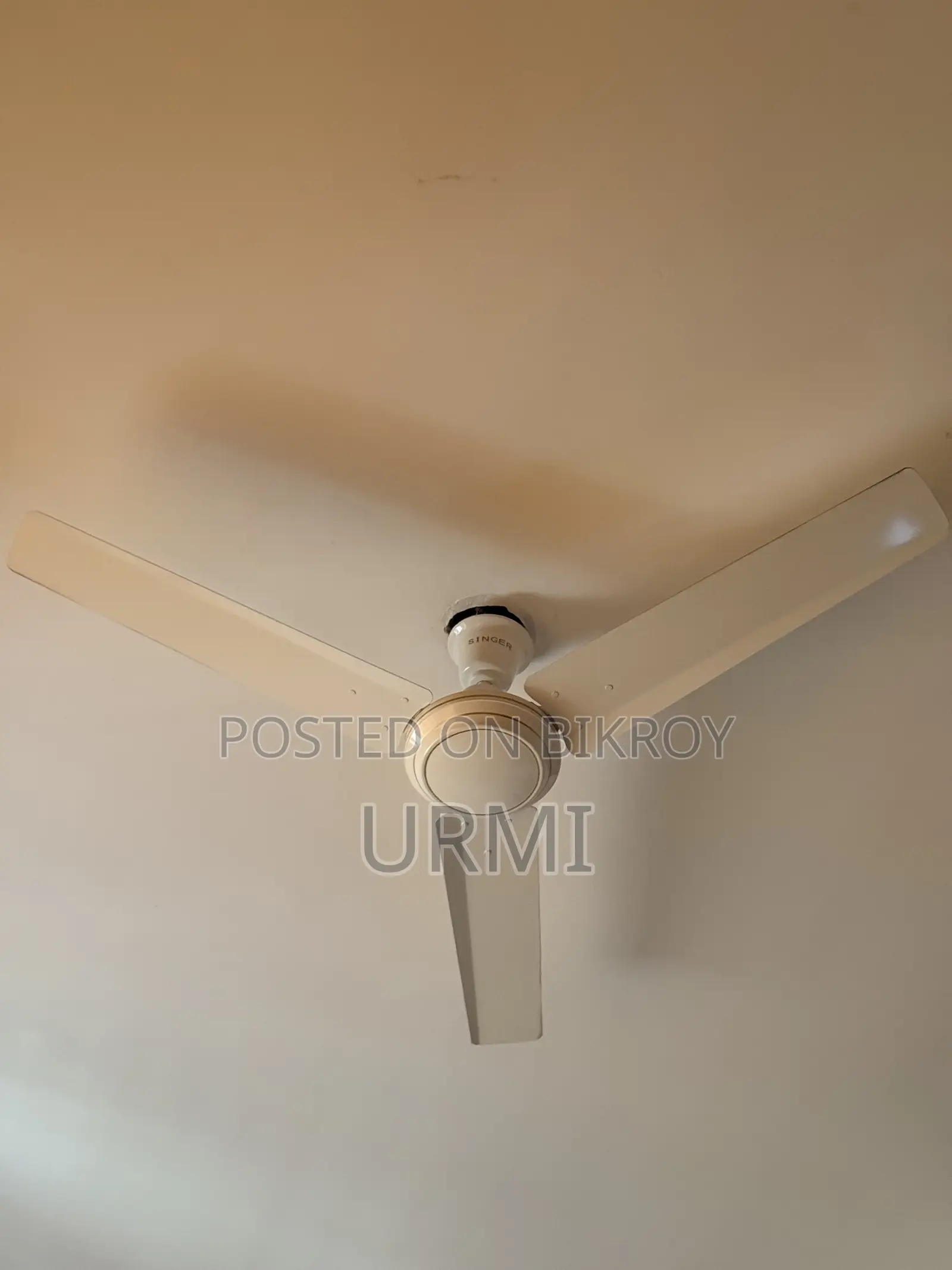 Singer Fan